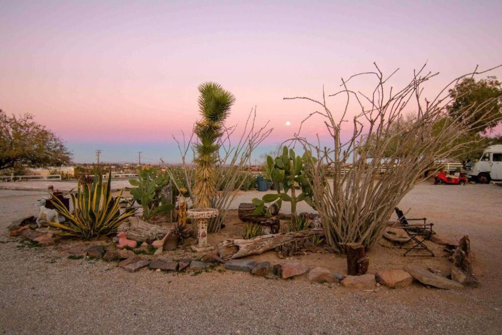 Joshua Tree Ranch House Motel - Downtown - Room #4 Exteriér fotografie
